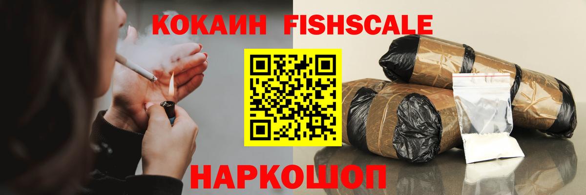 COCAIN Fish Scale  Вход с VPN  Балашов  Кокаин Fish Scale 