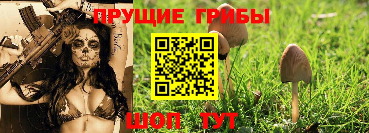 Балашов  Галлюциногенные грибы ЛСД  Вход с VPN  Псилоцибиновые грибы ЛСД 